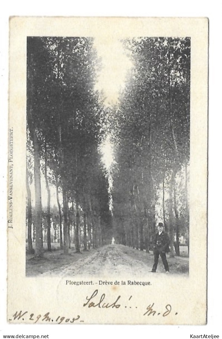Ploegsteert - Drève de la Rabecque.