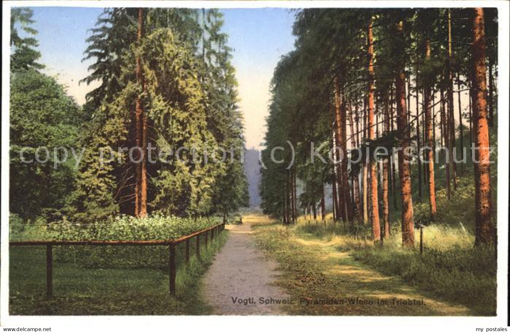 Poehl Vogtland Vogtl. Schweiz Pyramiden Wiese Triebtal