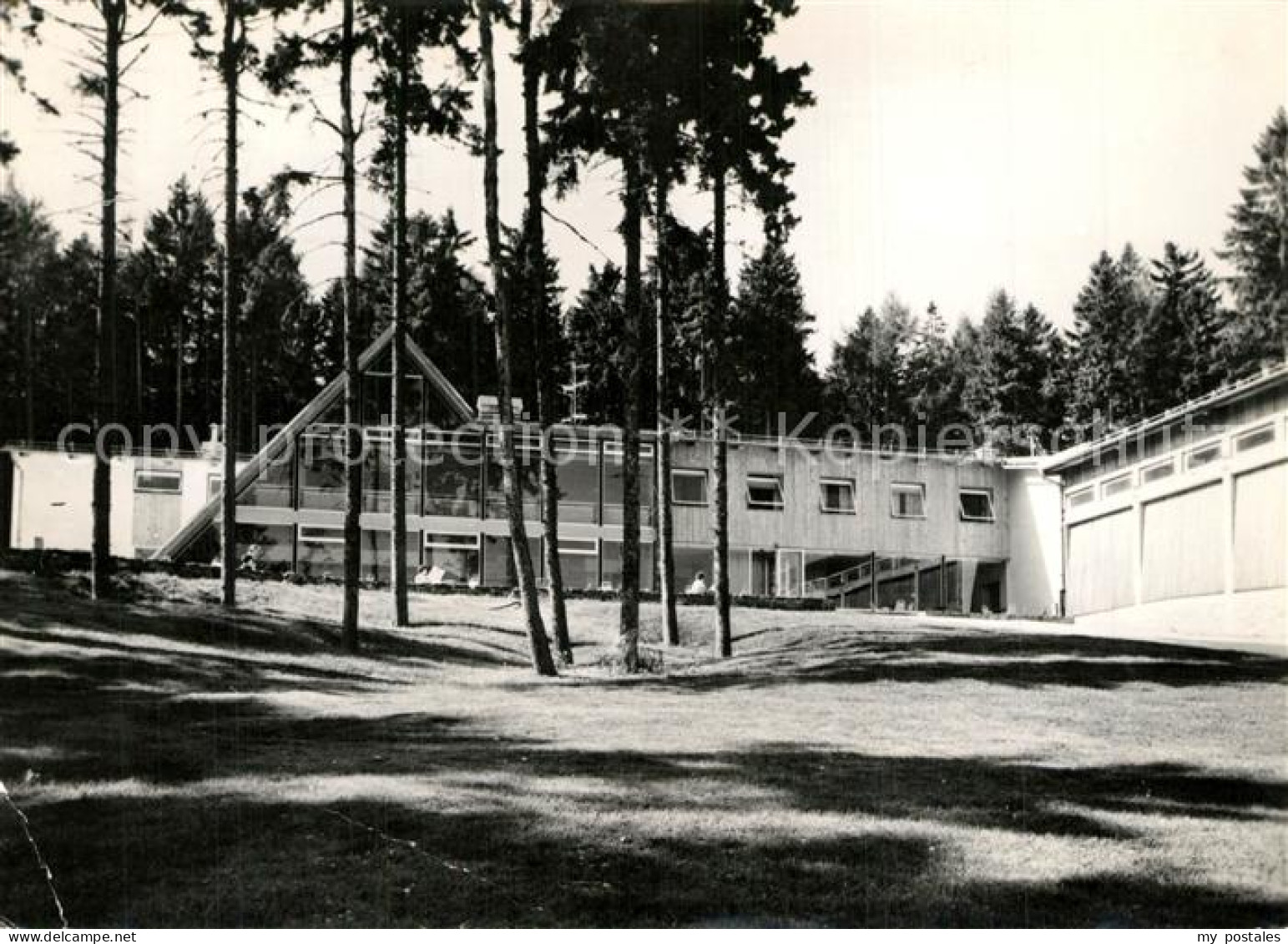 Pohorje Hotel Bellevue