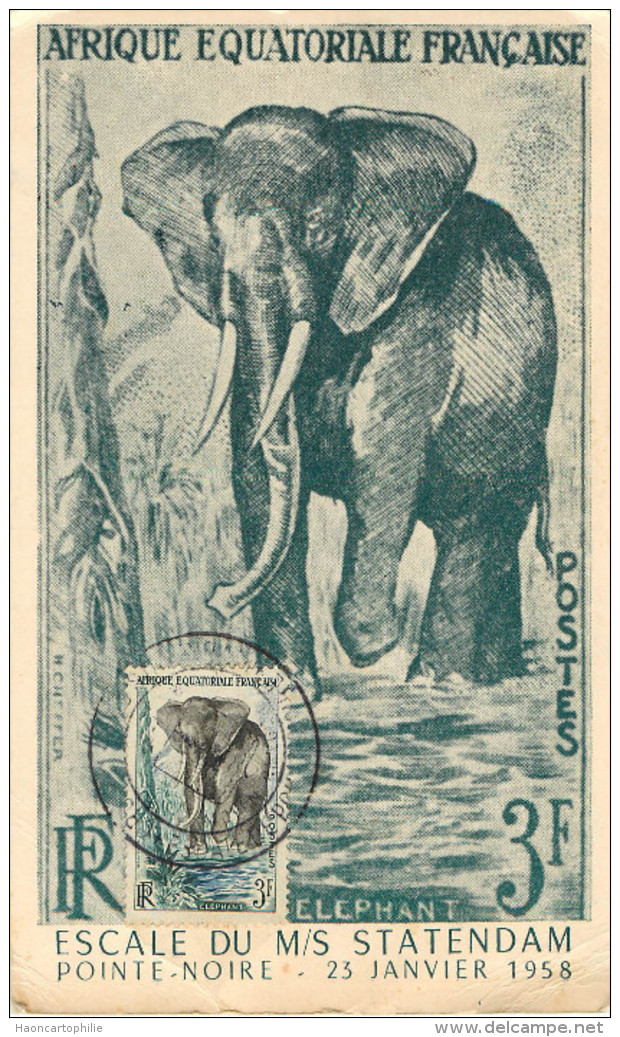 pointe noire carte maximum éléphant