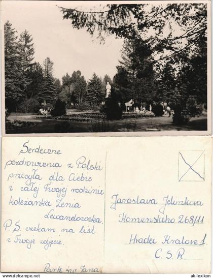 Postcard Polen Polska Polen Polska Parkanlage 1961