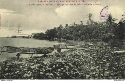 french polynesia, RAIATEA UTUROA, Convert Shoreline of Coconut Debris (1907) Postcard