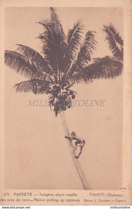 FRENCH POLYNESIA - Papeete, Native picking up Coconuts, Tahiti