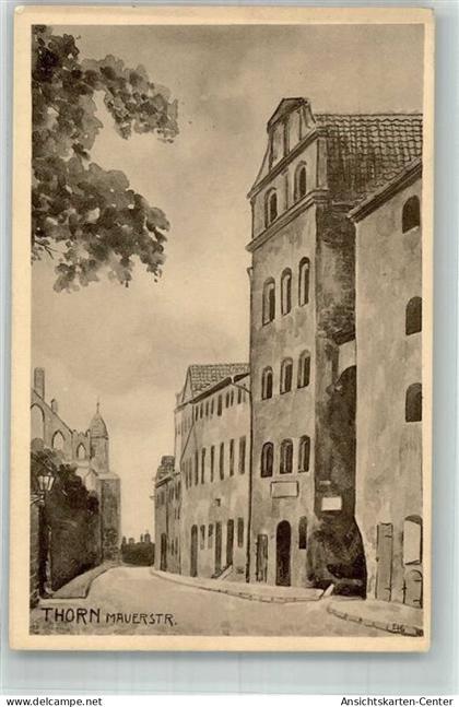 13306310 - Thorn Torun