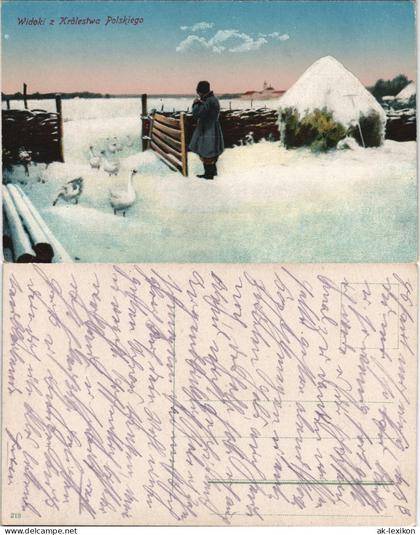 Postcard Polen Polska Polen / Polska - Gänse, Mann, Bauernhof 1917