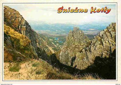 Carte Postale - Pologne - Sniezne Kotty - Voir Timbre de Pologne - CPM - Voir Scans Recto-Verso - Poscard - Carta Postal