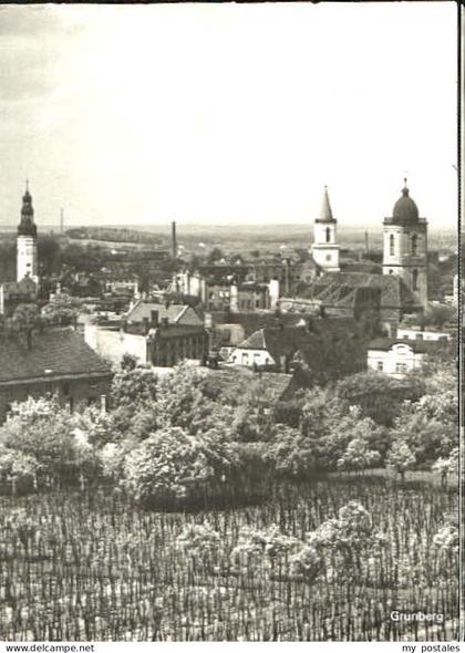 Gruenberg Schlesien Zielona Gora Gruenberg