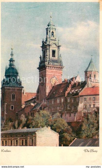 Krakau Krakow Burg