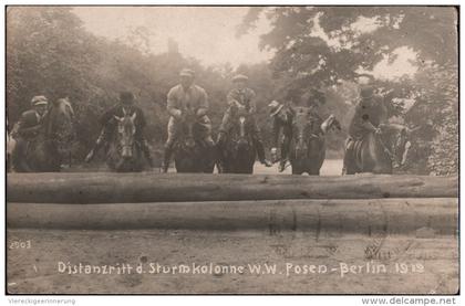 ! old photo postcard, Foto, Pferde , Horses, Berlin 1919, Distanzritt Posen, Poznan - Berlin, Echtfoto, Reitsport