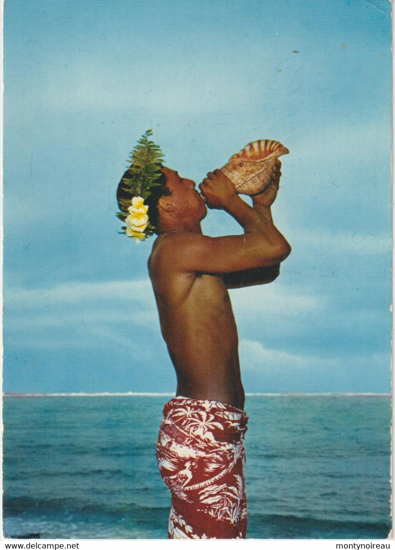 Polynésie  Française :TAHITI :  coquillage - musique