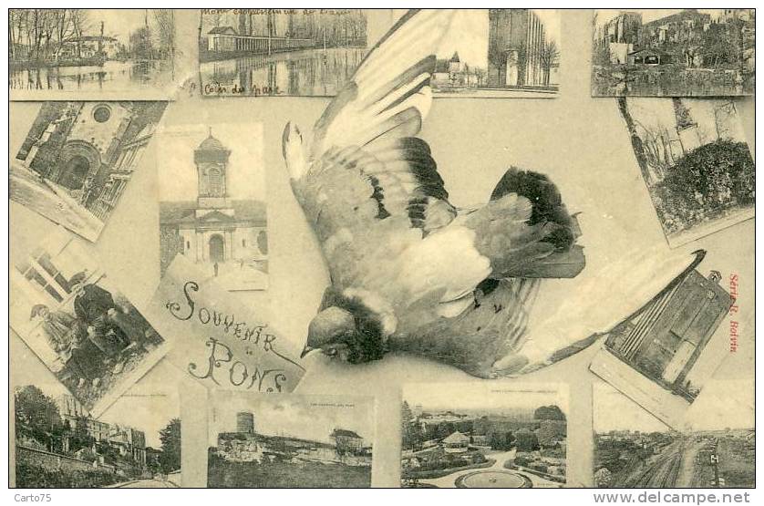 PONS 17 - Souvenir de Pons - Pigeon