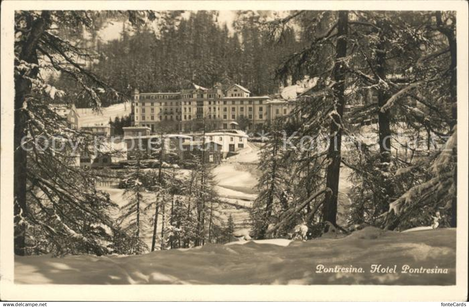 Pontresina Hotel Pontresina