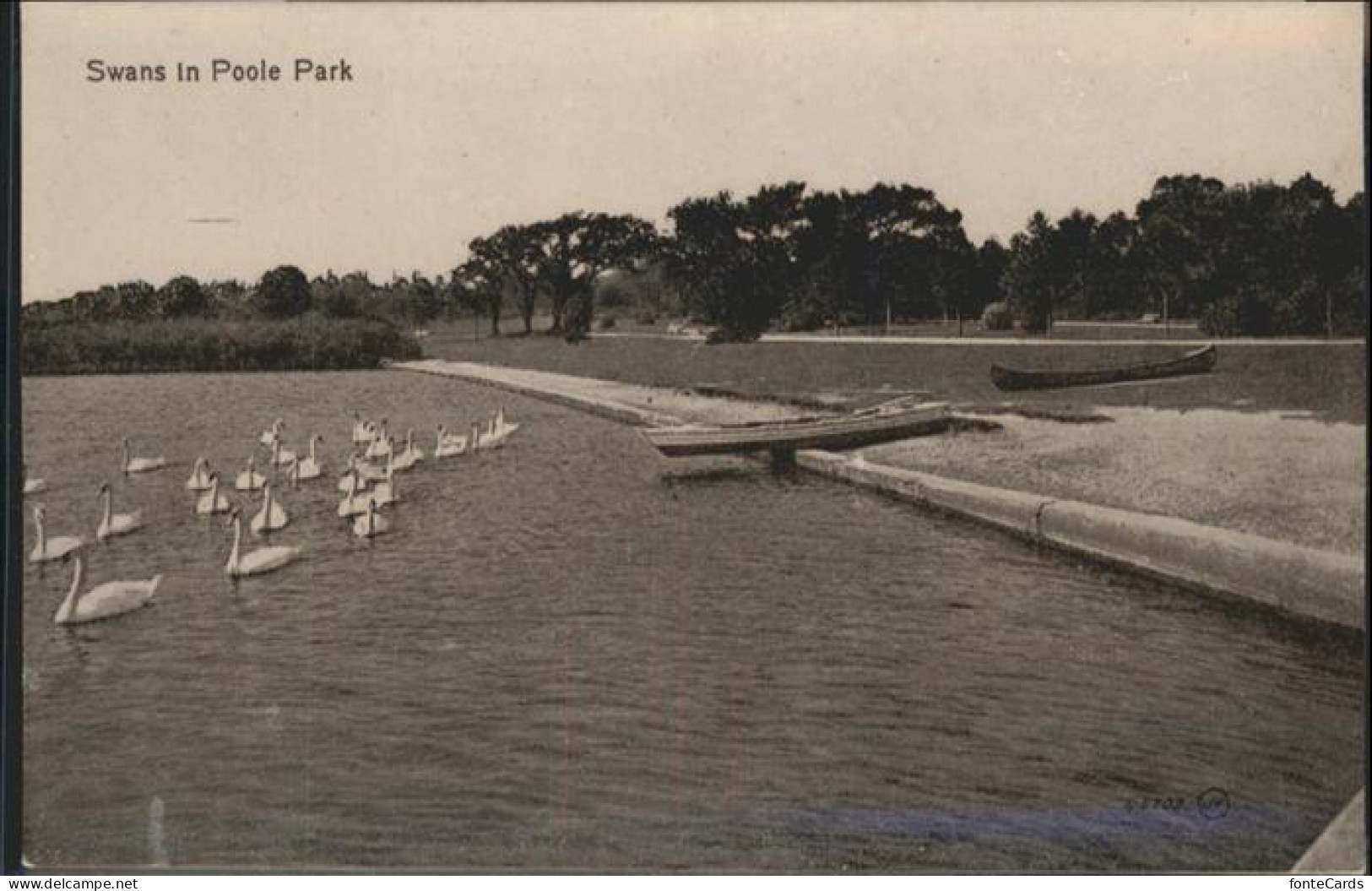 Poole Dorset Swans Park