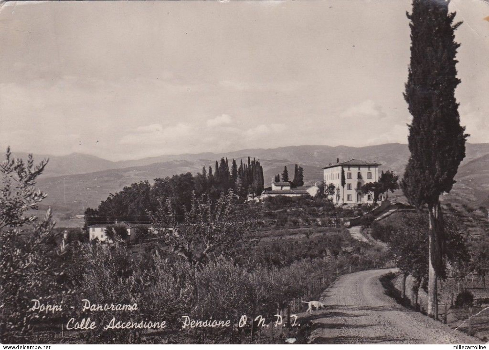 * POPPI - Panorama, Colle Ascensione, Pensione ONPI 1954