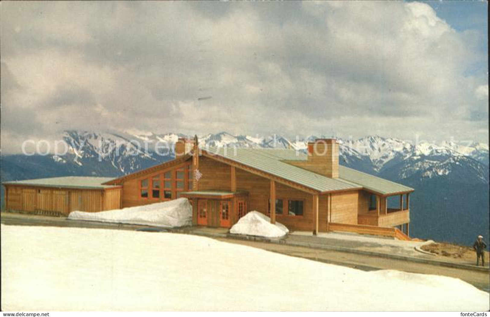 Port Angeles Hurricane Ridge Lodge Olympic National Park Gebirgspanorama