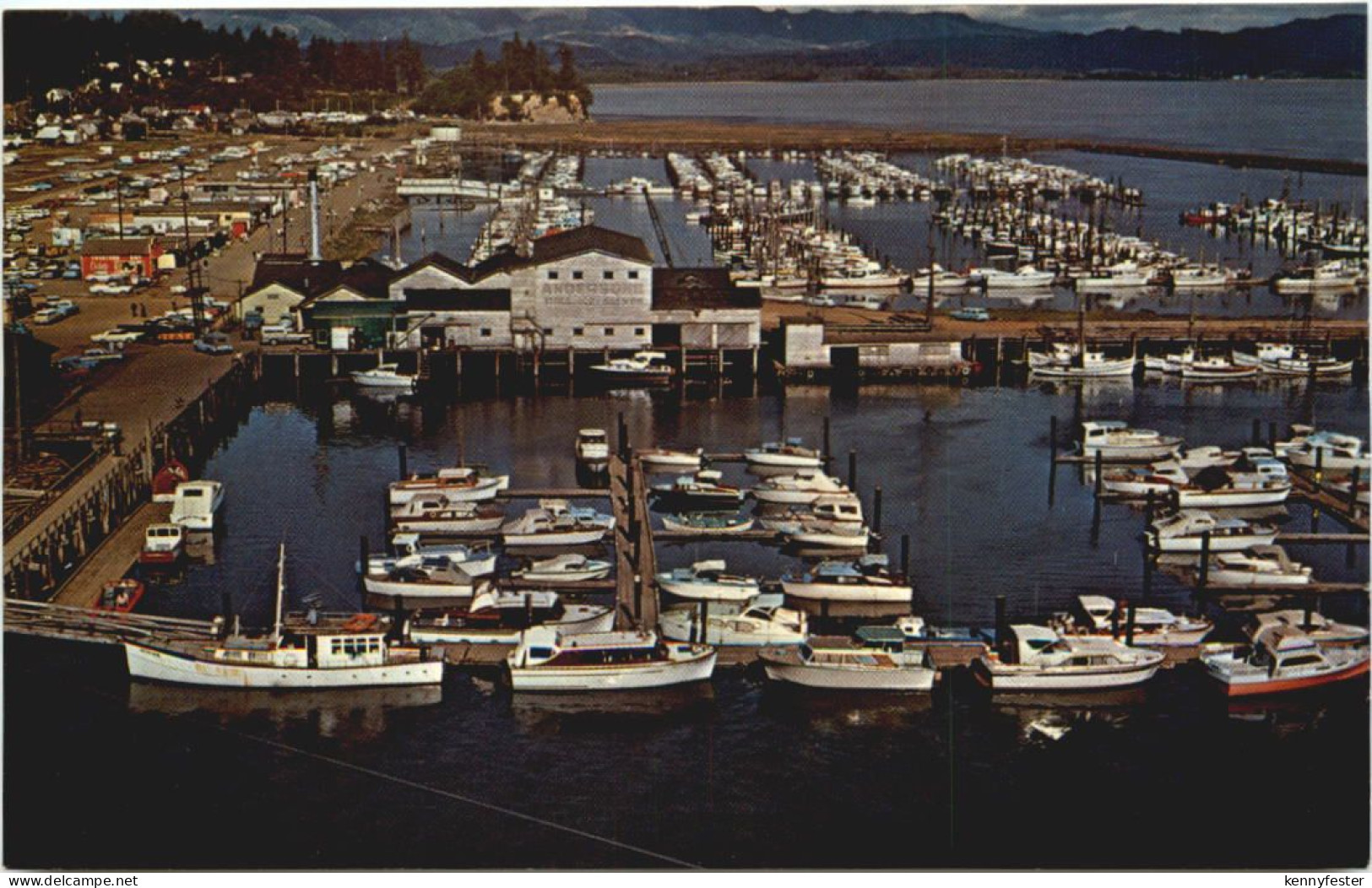 Port Basin - Ilwaco