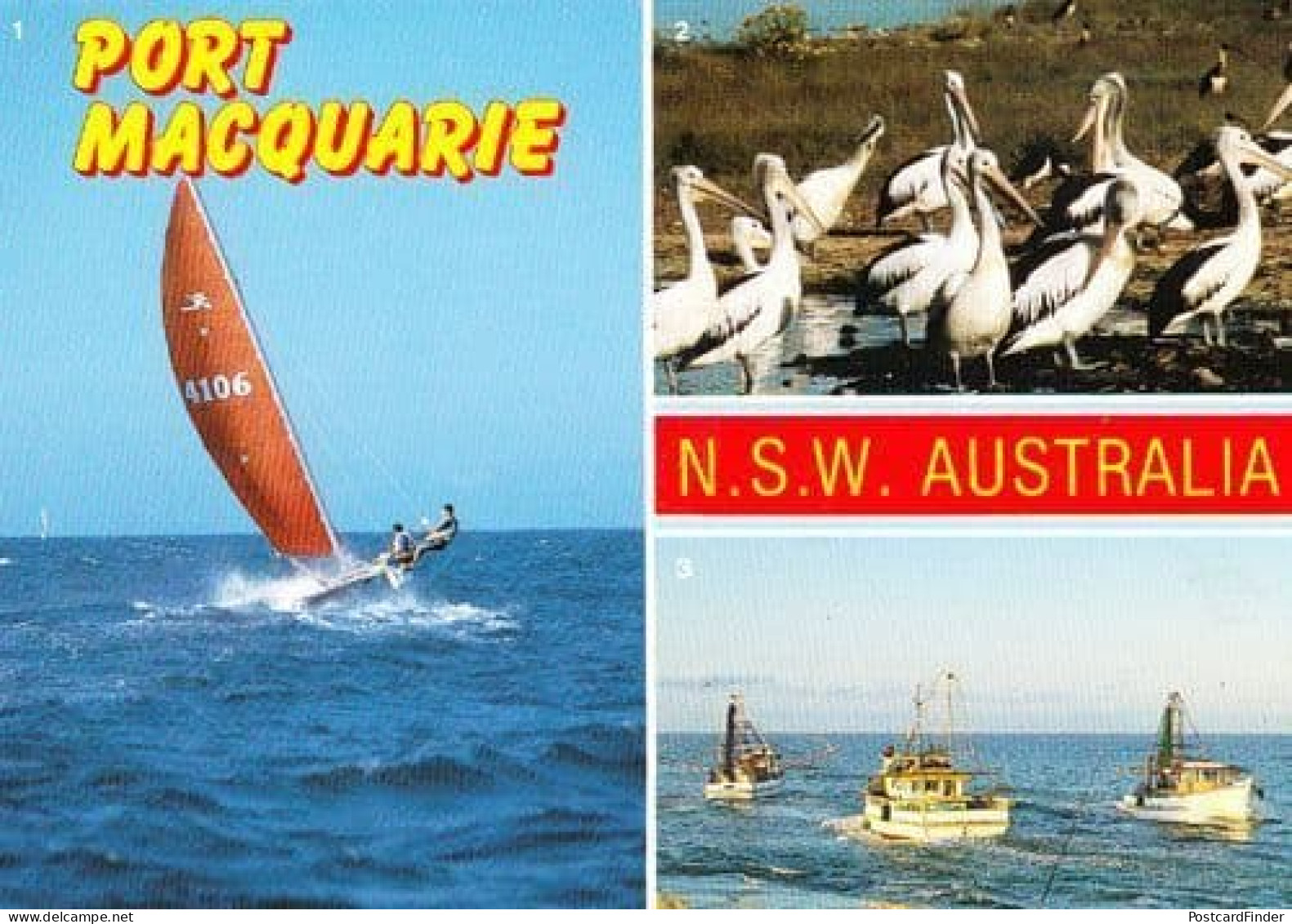 Port Macquarie New South Wales Boat Ship Wildlife Birds Photo Australia Postcard