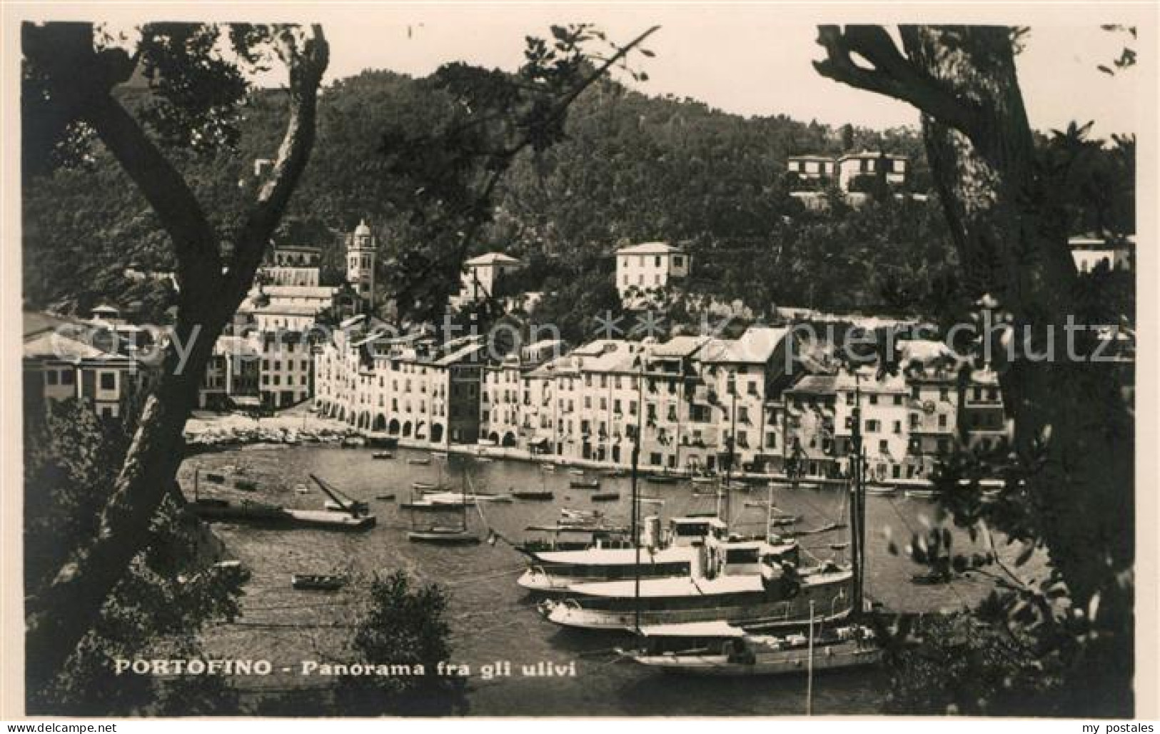 Portofino Liguria Panorama