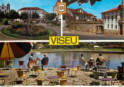 CPM Viseu Panorama