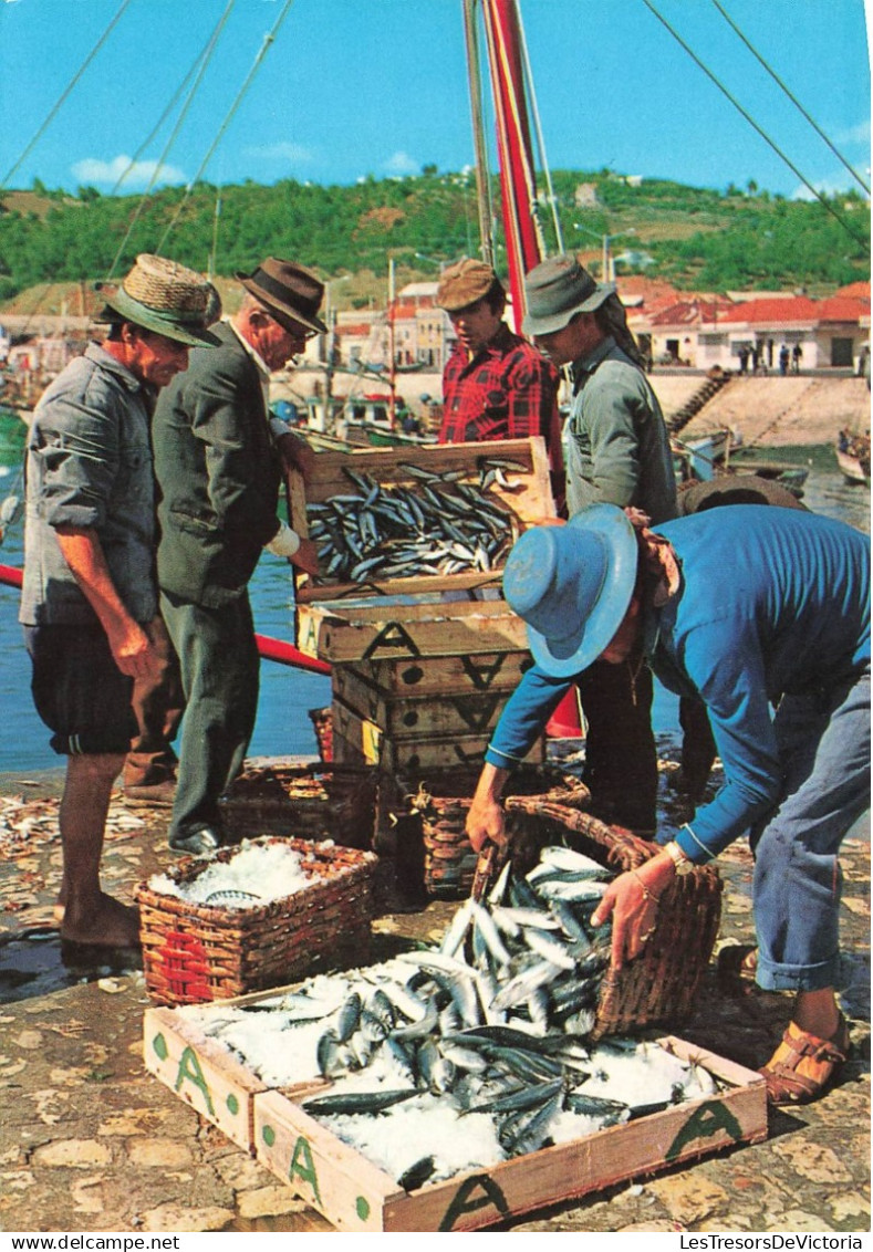 PORTUGAL - Setúbal - Porto de pesca - Chegada de peixe - Carte postale