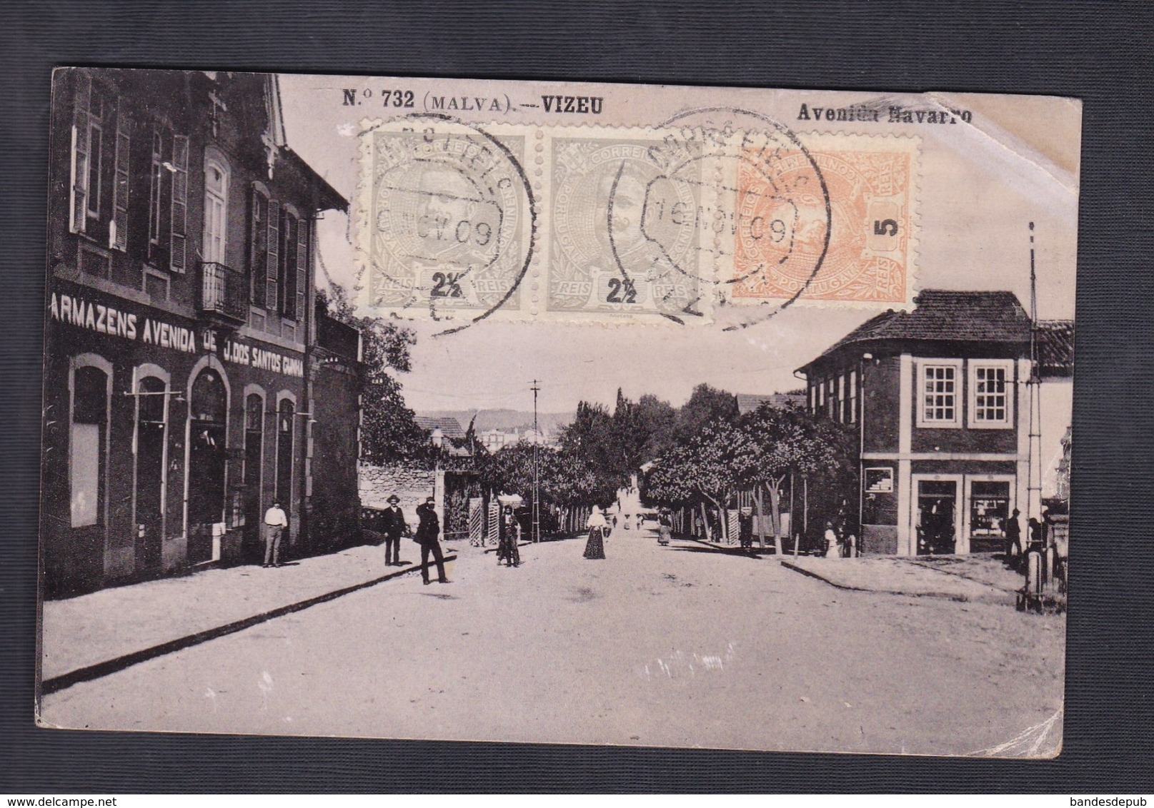 Portugal Viseu ( Malva ) Vizeu Avenida Navarro ( animée )