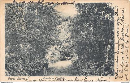 Açores - FAYAL - Estrada da Ribeirinha - Ed. desconhecido