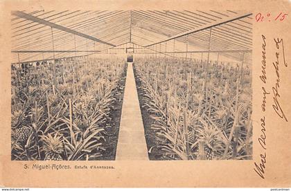 Açores - SÃO MIGUEL - Estufa d'ananazes