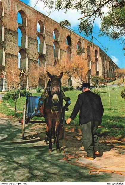 Elvas Portalegre PT Aqueduto da Amoreira Exlibris da Cidade