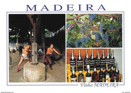 FUNCHAL Madeira PT Vinho Madeira Weinpresse Reben Weinregal