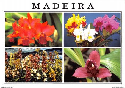 BR86028 madeira quinta de boa vista portugal