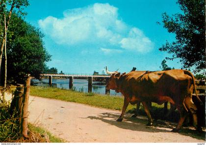 CPM Bridge across River Vouga Aveiro