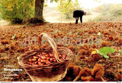 Braganca - Chestnut - Basket - Portugal - unused
