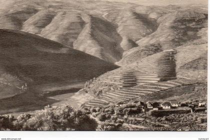 Portugal la Vallée du Douro