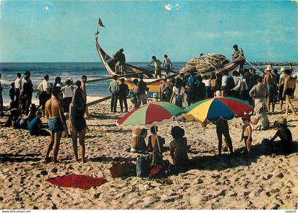 CPM Bathing Season Praia da Vieira Leiria
