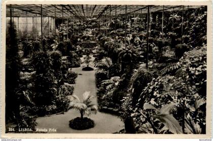 Lisboa - Estufa Fria