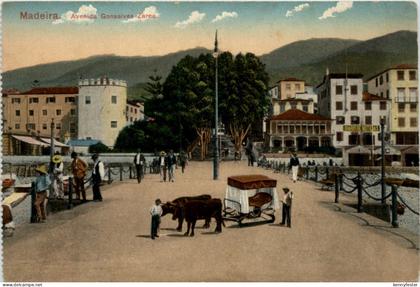 Madeira - Avenida Gonsalves Zarco