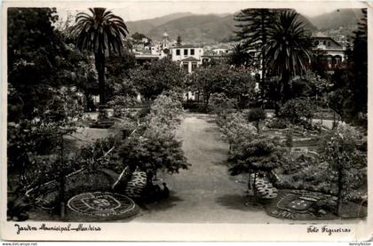 Madeira - Jardim Municipal