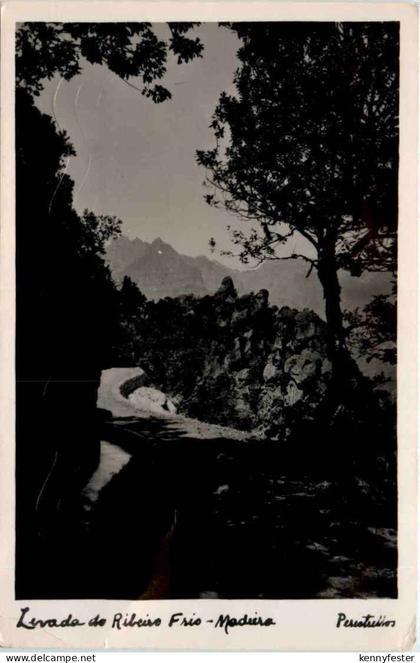 Madeira - Levada de Ribeiro