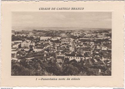 Cidade de Castelo Branco