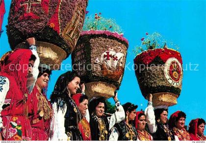 Viana do Castelo Offerings