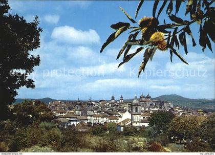 Viseu Panorama