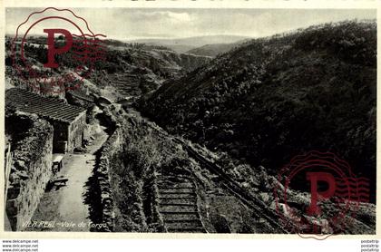 FOTOPOSTAL  PORTUGAL - VILA REAL [03] - VALE DO CORGO