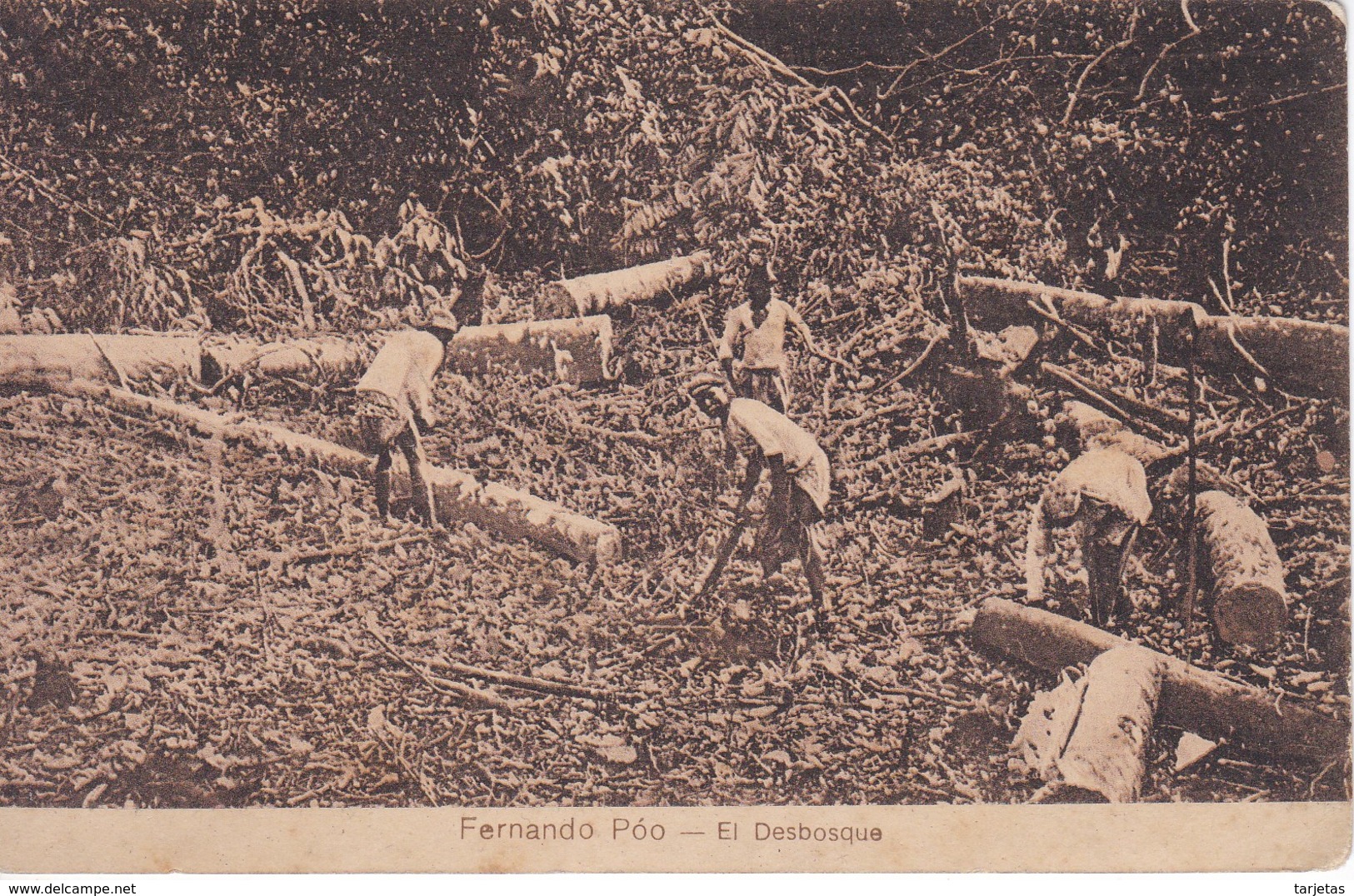 POSTAL DE FERNANDO POO DE EL DESBOSQUE - (GUINEA ESPAÑOLA)