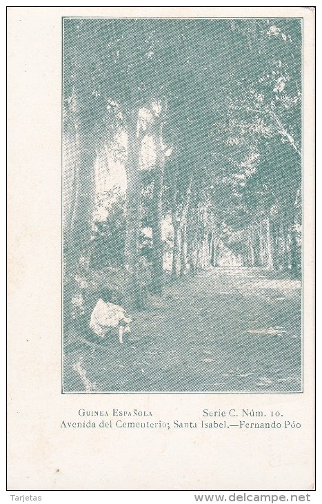 POSTAL DE GUINEA ESPAÑOLA DE LA AVENIDA DEL CEMENTERIO, EN SANTA ISABEL- FERNANDO POO