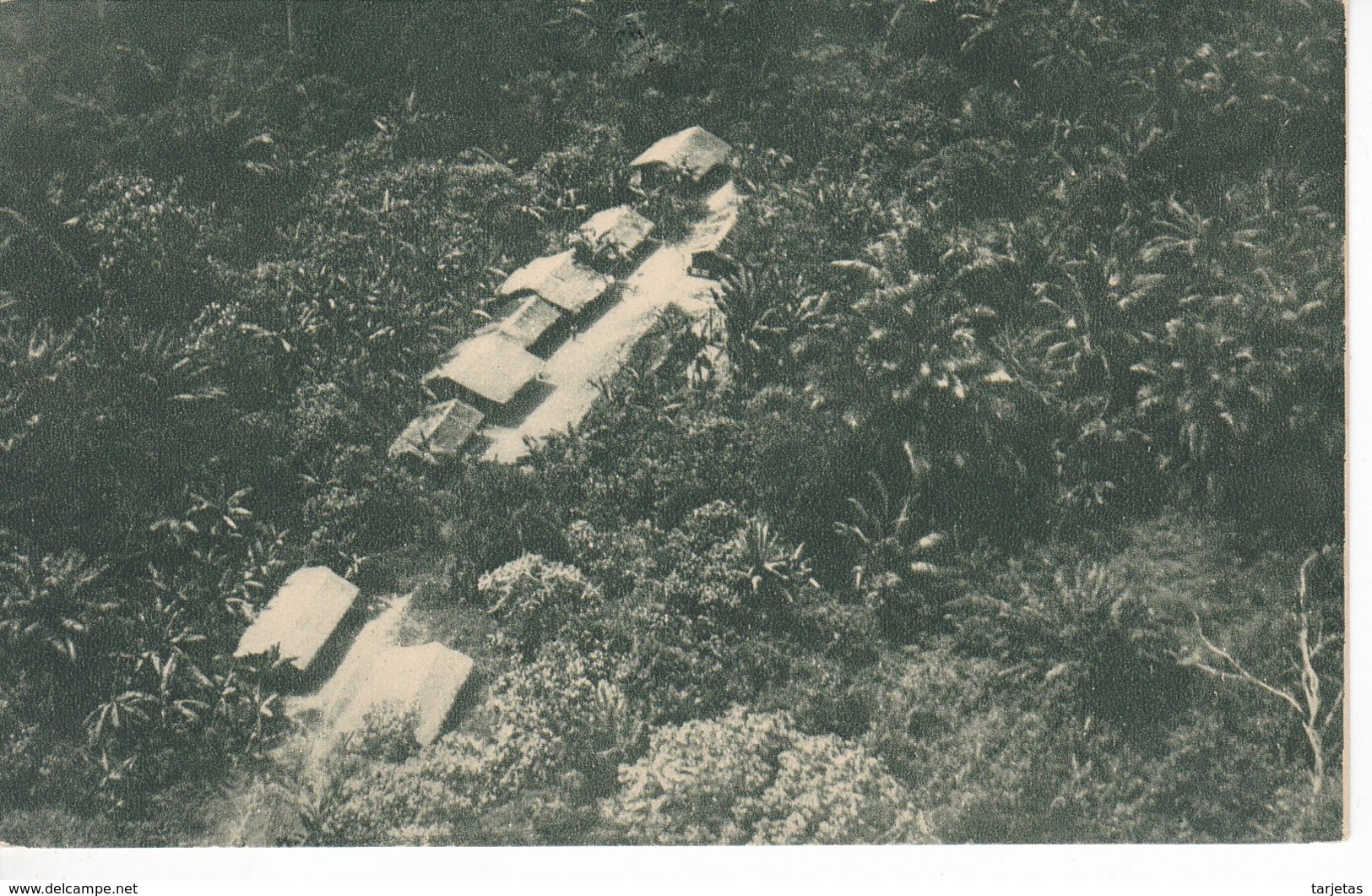 POSTAL DE GUINEA ESPAÑOLA DE POBLADO DE INTERIOR VISTO POR LA ESCUADRILLA (EXPO IBERO-AMERICANA SEVILLA 1929)