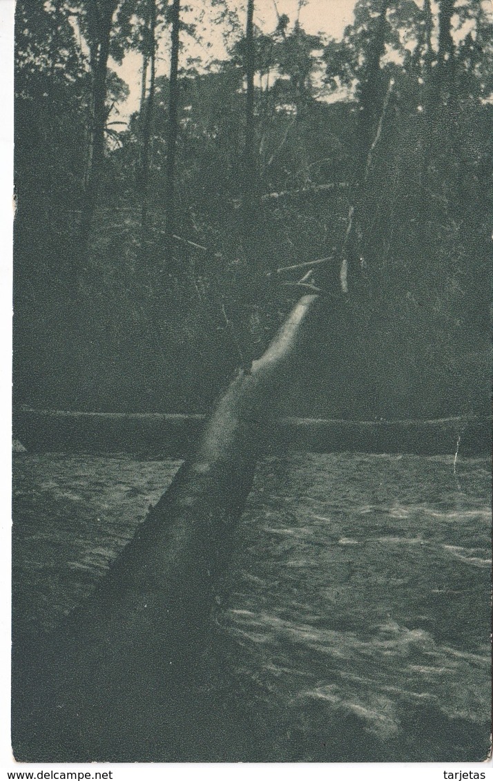 POSTAL DE GUINEA ESPAÑOLA DE UN PUENTE RUSTICO SOBRE EL RIO N'DOTE (EXPO IBERO-AMERICANA SEVILLA 1929)