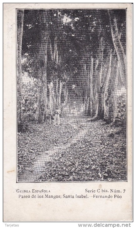 POSTAL DE GUINEA ESPAÑOLA DEL PASEO DE LOS MANGOS, EN SANTA ISABEL- FERNANDO POO