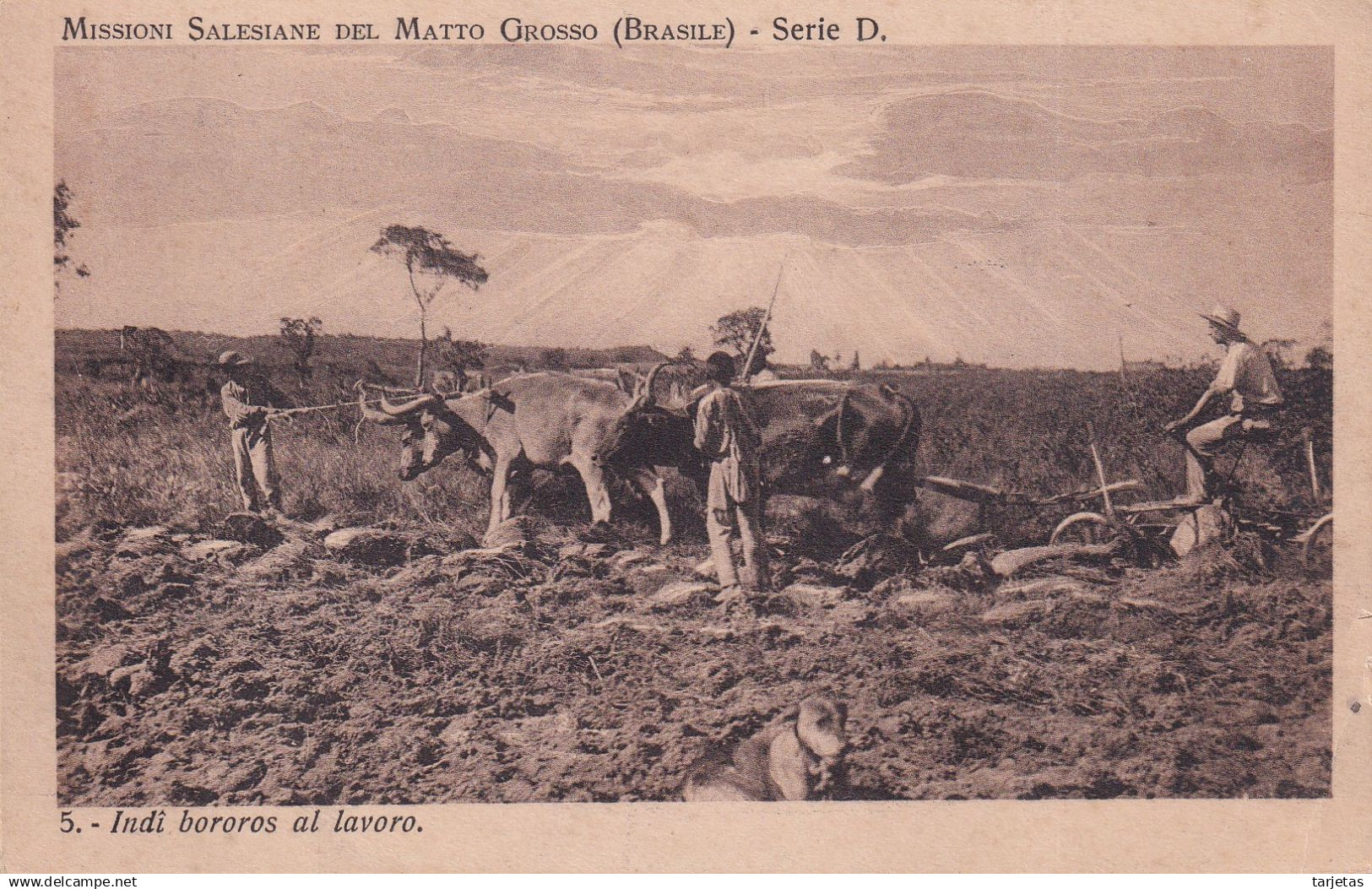POSTAL DE MISSIONI DEL MATTO GROSSO - INDI BOROROS AL LAVORO DEL AÑO 1923  (BRASIL) (VANORDEN)