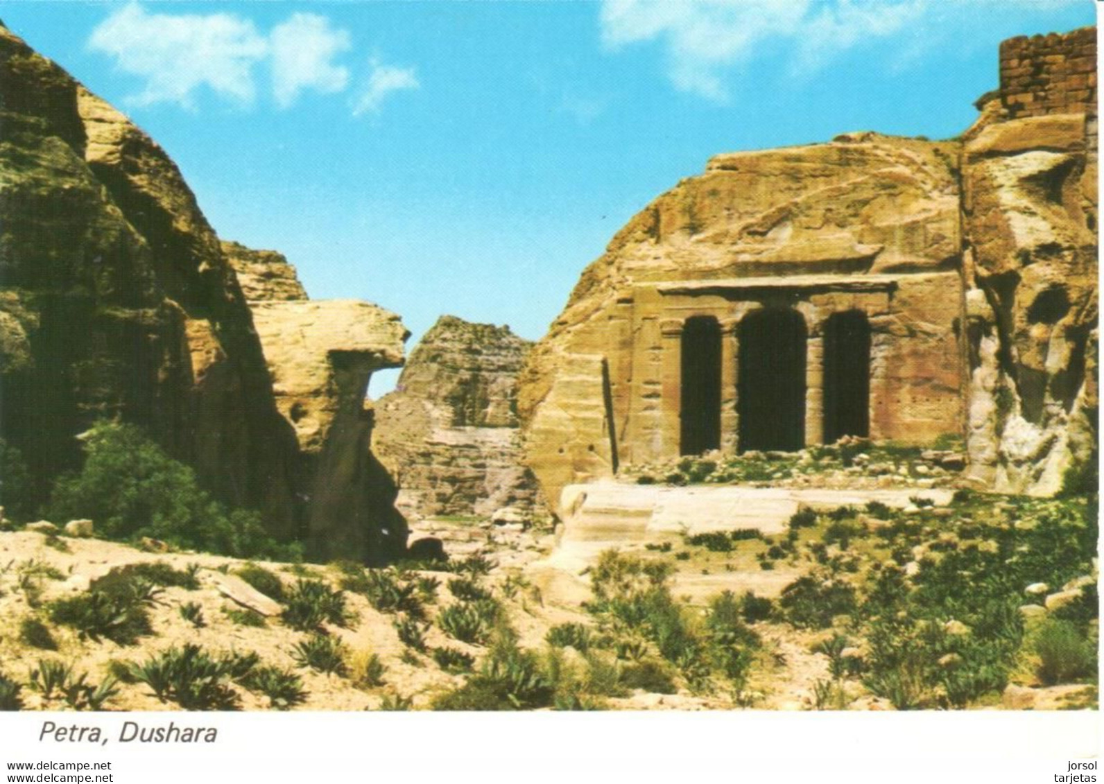 POSTAL  -PETRA  -JORDANIA  - DUSHARA