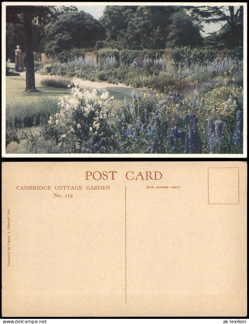 Postcard Cambridge CAMBRIDGE COTTAGE GARDEN 1920